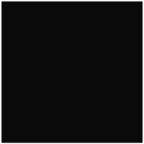 Gard culoarea negru 9005